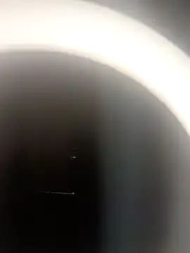 hot couple 000 online show from 12-01-25, 03:17