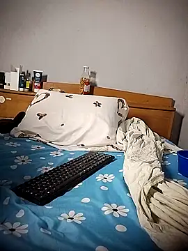 Snapshot of BD_228 chatting on 03-06-26, 11:45 BD 228 online show from 03-06-26, 11:45