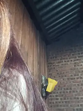 HGiasexy69 online show from 11-02-25, 10:23