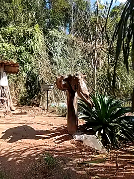 matbiec- online show from 12-22-25, 05:15