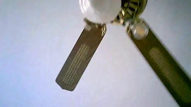 Snapshot of Sylviastar46 chatting on 11-11-25, 02:50 Sylviastar46 online show from 11-11-25, 02:50