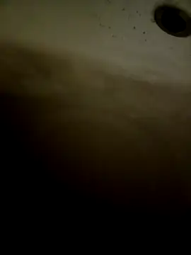 pino870 online show from 02-11-26, 12:32