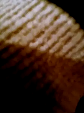 pino870 online show from 02-17-26, 04:24