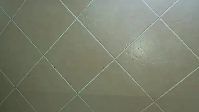 Snapshot of NewBeginnings8 chatting on 12-15-25, 12:53 NewBeginnings8 online show from 12-15-25, 12:53