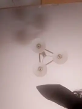 Brigitta886 online show from 03-31-26, 02:57