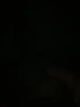 Manfredini607452 online show from 11-18-25, 12:49