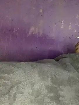 hotman29 online show from 11-26-25, 11:06