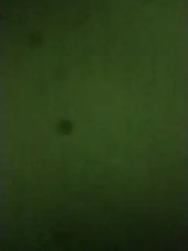 sexychd online show from 12-14-25, 04:51