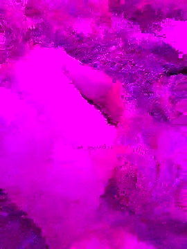 PitoDuroWuero online show from 11-27-25, 11:34