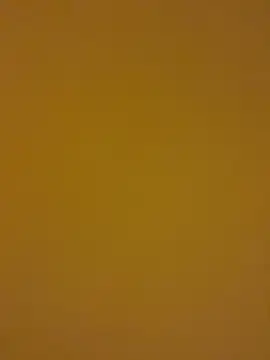 Snapshot of kentojp chatting on 11-14-25, 01:43 kentojp online show from 11-14-25, 01:43