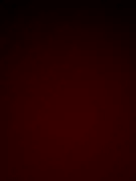 letty125 online show from 11-05-25, 12:16