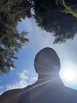 RaySullivan online show from 04-24-26, 08:11