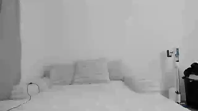 Snapshot of zaylanez chatting on 11-08-25, 06:35 zaylanez online show from 11-08-25, 06:35