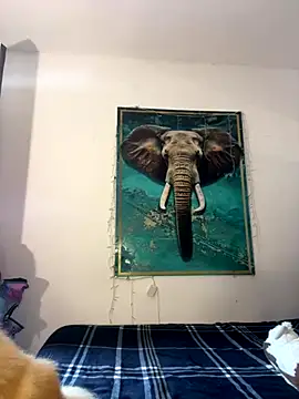 Snapshot of alisaa_jhons1 chatting on 12-14-25, 04:56 alisaa jhons1 online show from 12-14-25, 04:56