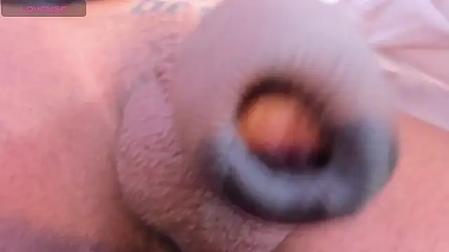 camii raux online show from 03-10-26, 09:31