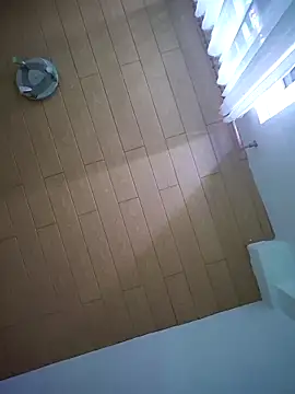 Snapshot of TirelessLot3 chatting on 03-06-26, 11:01 TirelessLot3 online show from 03-06-26, 11:01