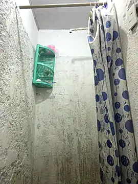 Dina moss online show from 11-13-25, 04:28