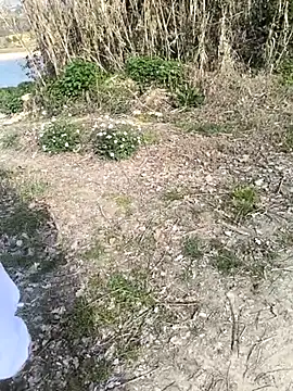 marchigiana online show from 02-26-26, 09:19