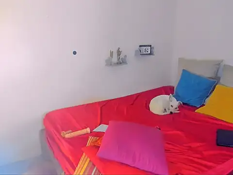 hotcassy online show from 02-25-26, 09:57