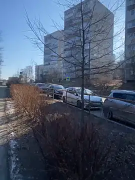 Dona Mafia online show from 12-22-25, 01:57