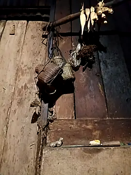 -Chua-90 online show from 02-09-26, 11:36