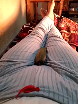 Tota sexi online show from 12-04-25, 11:30