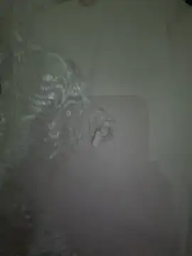 dalou3a22 online show from 12-20-25, 12:18