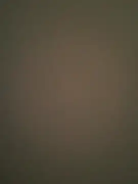 Zepouvinho online show from 04-03-26, 11:30