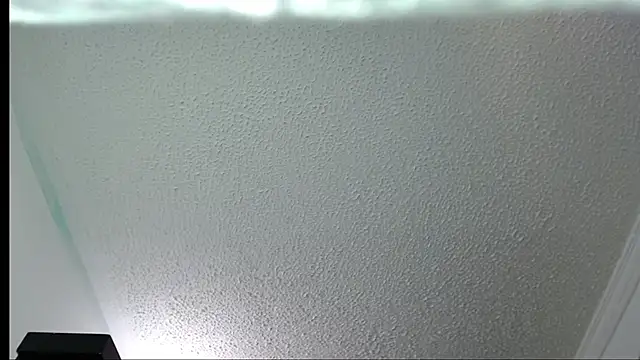 Little-rouse online show from 11-30-25, 02:32