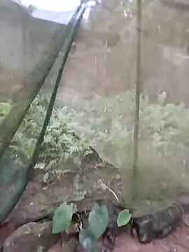 gugu0022 online show from 02-25-26, 11:25