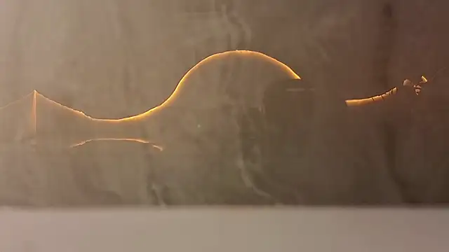 Snapshot of samy_tp chatting on 12-05-25, 07:21 samy tp online show from 12-05-25, 07:21