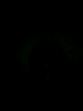 56849 online show from 11-16-25, 06:19