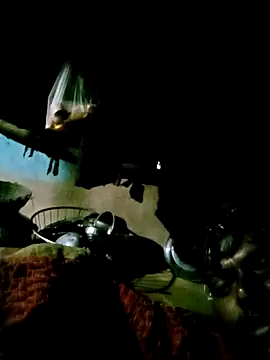 Savina baby online show from 12-13-25, 09:42