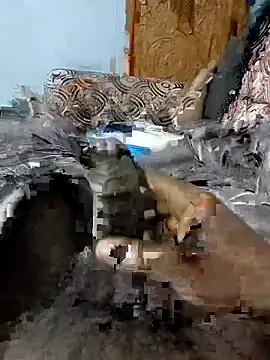 Snapshot of spermc chatting on 02-06-26, 04:10 spermc online show from 02-06-26, 04:10