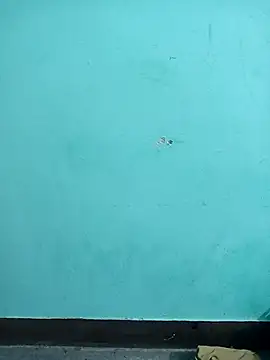 Sexacock01 online show from 02-04-26, 11:16