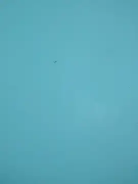 braidqueen00 online show from 02-15-26, 12:18