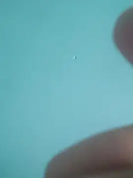 braidqueen00 online show from 02-19-26, 07:54