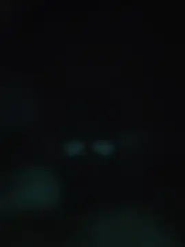 00x0x00 online show from 05-20-26, 03:13