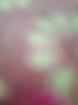 Nandani-758 online show from 02-20-26, 09:00