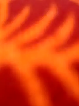 Nandani-758 online show from 04-08-26, 11:21