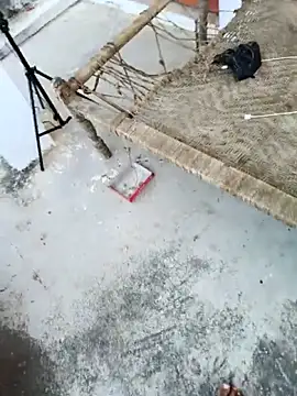 Snapshot of apka_rockstarr chatting on 11-27-25, 09:11 apka rockstarr online show from 11-27-25, 09:11