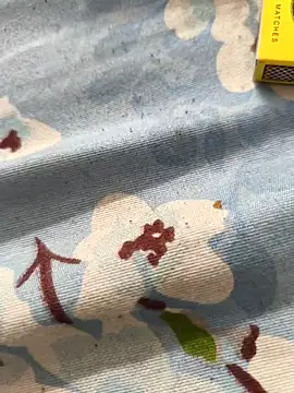 paro22 sex online show from 04-23-26, 07:27