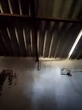 Babita Gori online show from 03-02-26, 04:14