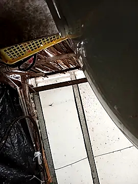 Lin-kute98 online show from 04-23-26, 02:24