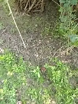 88zaifkhan88 online show from 03-02-26, 05:08