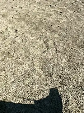 Snapshot of ratemydickbabe chatting on 12-01-25, 09:36 ratemydickbabe online show from 12-01-25, 09:36