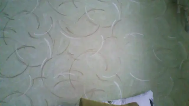 ClaireShannon online show from 03-03-26, 08:20