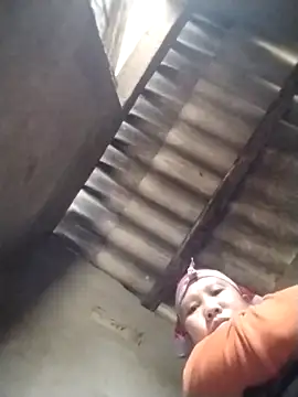 LeoPet2x online show from 02-05-26, 03:11