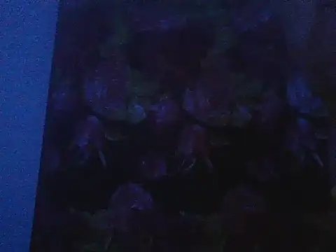 Maverik1313 online show from 02-07-26, 03:54