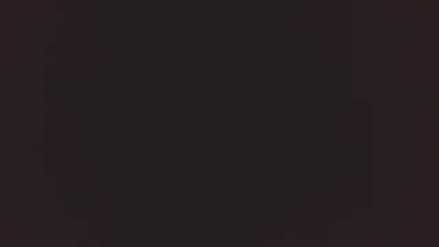 Bellamorgann online show from 12-02-25, 11:00